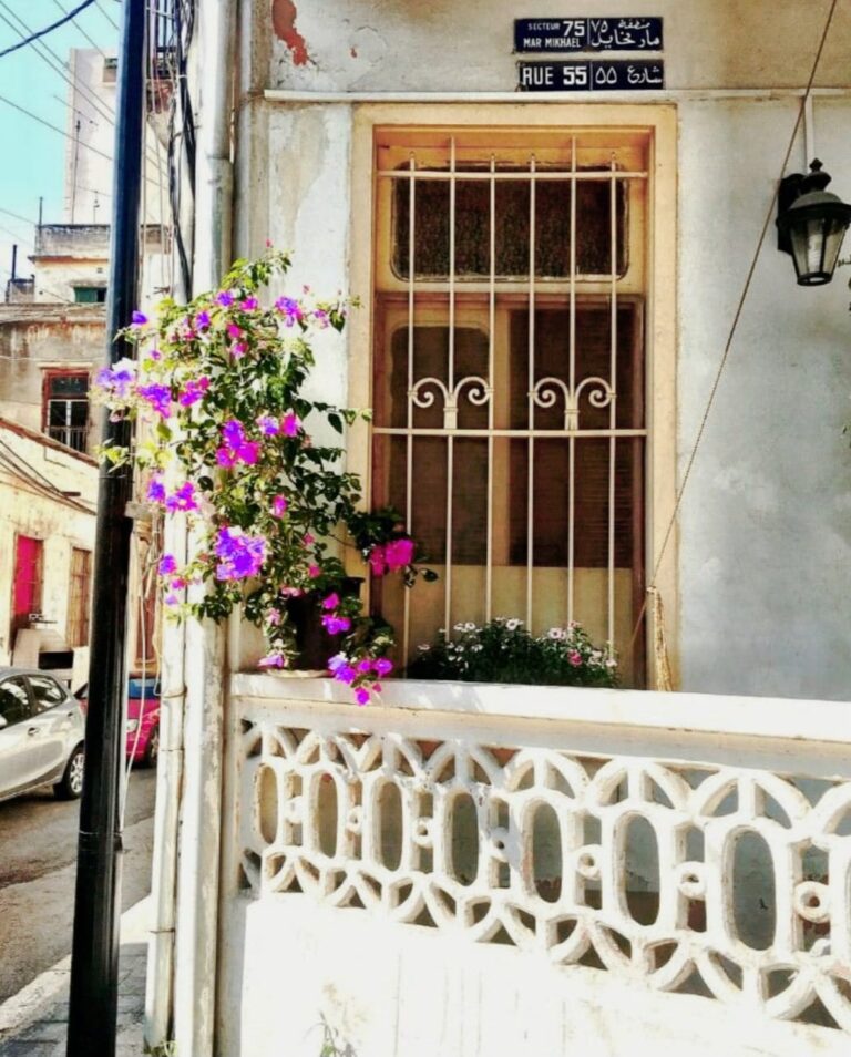نبيل-عماري