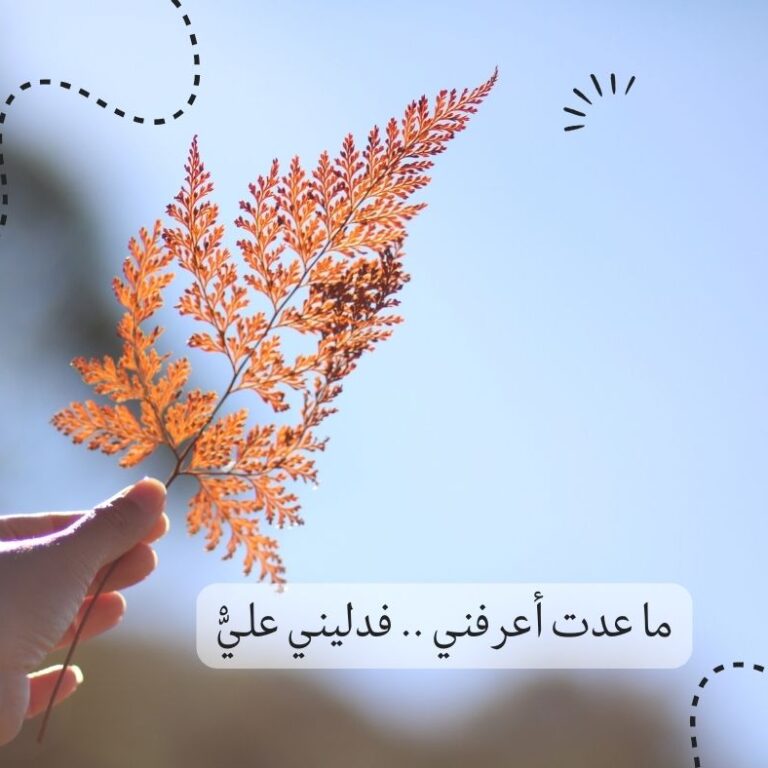 ما عدت أعرفني .. فدليني عليّْ