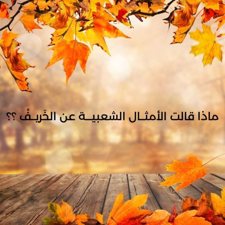 ماذا قالت الأمثــال الشعبيـــة عن الخَريــفْ ؟؟