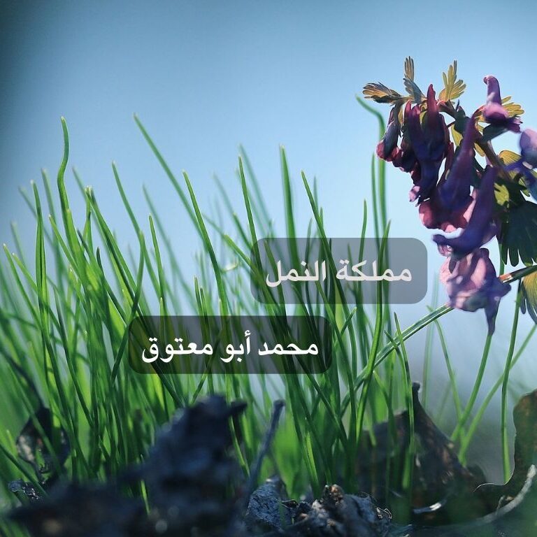 قصة مملكة النمل