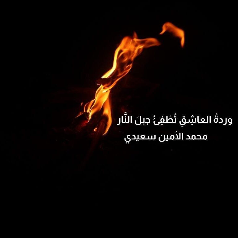 وردةُ العاشِقِ تُطْفِئُ جبلَ النَّار