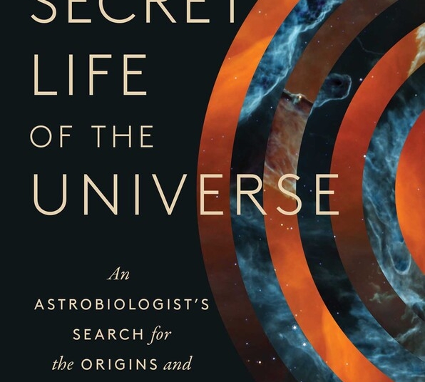 The Secret Life of the Universe