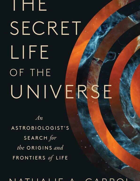 The Secret Life of the Universe