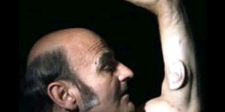 تهجين الجسد عند ستيلارك