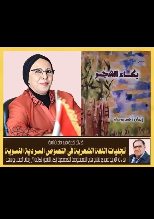 أنات حائرة أو صراع الحكم والواقع