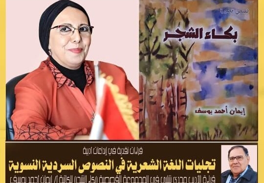 أنات حائرة أو صراع الحكم والواقع