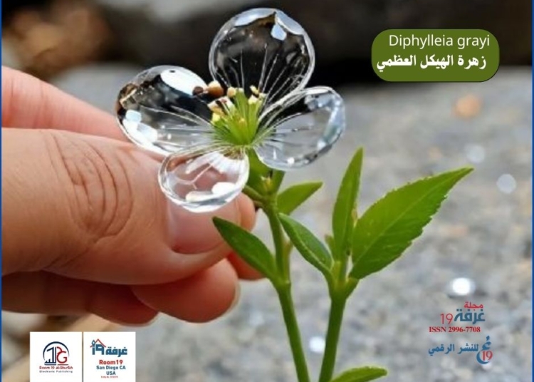 Diphylleia grayi، زهرة الهيكل العظمي