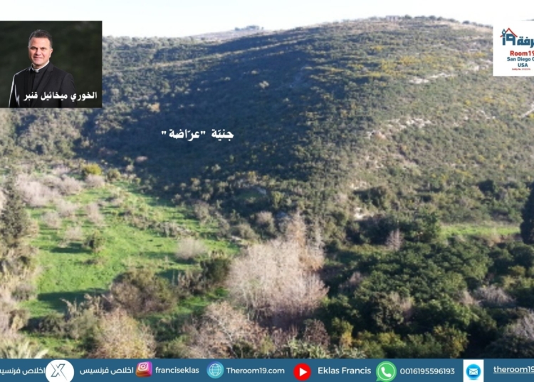 جنيّة "عرّاضة"