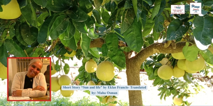 Short Story “Sun and life” by Eklas Francis- Translated by: Maha Osman