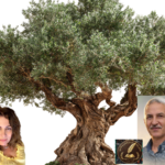 ziatoun