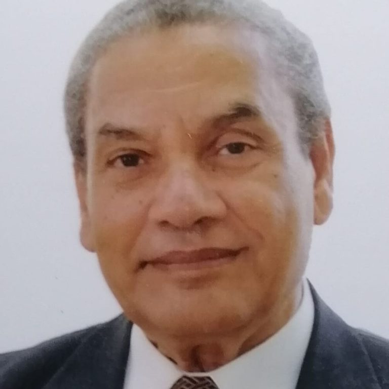 أ.د. حسن الخولي
